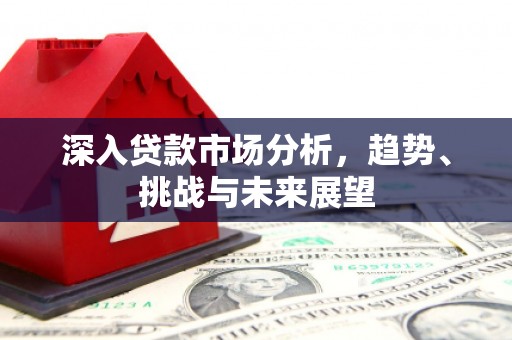 宛城深入贷款市场分析，趋势、挑战与未来展望