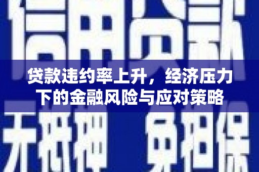 宛城贷款违约率上升，经济压力下的金融风险与应对策略