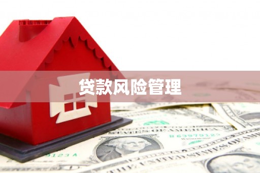 宛城贷款风险管理