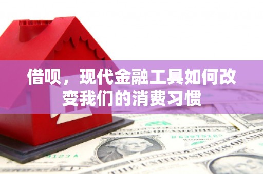 宛城借呗，现代金融工具如何改变我们的消费习惯