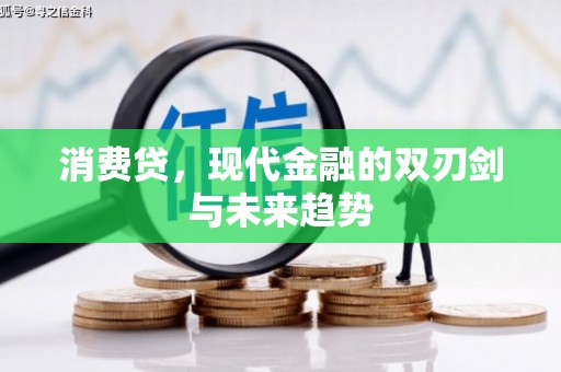 宛城消费贷，现代金融的双刃剑与未来趋势
