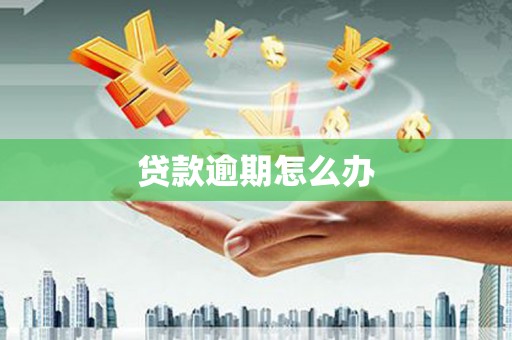 宛城贷款逾期怎么办