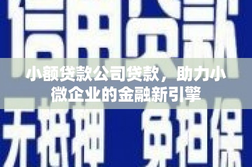 宛城小额贷款公司贷款，助力小微企业的金融新引擎