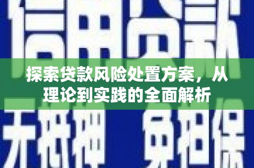 宛城探索贷款风险处置方案，从理论到实践的全面解析