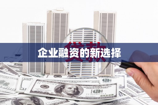 宛城企业融资的新选择