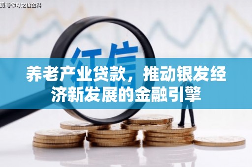 宛城养老产业贷款，推动银发经济新发展的金融引擎
