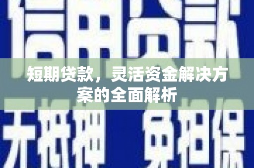 宛城短期贷款，灵活资金解决方案的全面解析