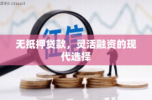 宛城无抵押贷款，灵活融资的现代选择