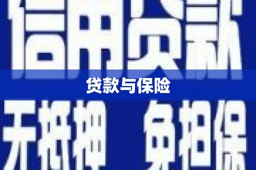 宛城贷款与保险
