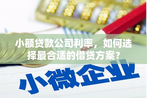 宛城小额贷款公司利率，如何选择最合适的借贷方案？