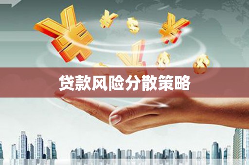 宛城贷款风险分散策略