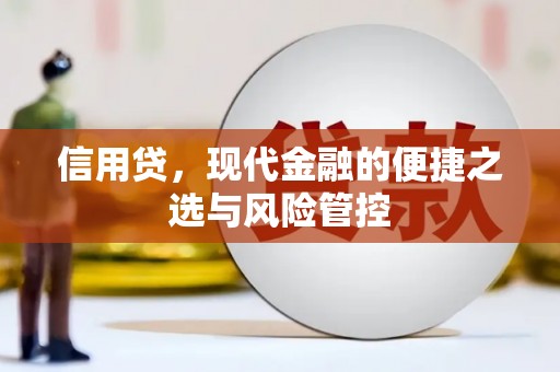 宛城信用贷，现代金融的便捷之选与风险管控