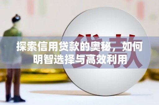 宛城探索信用贷款的奥秘，如何明智选择与高效利用