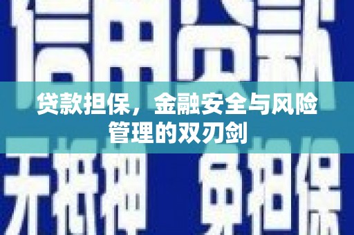 宛城贷款担保，金融安全与风险管理的双刃剑