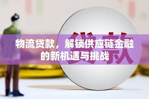 宛城物流贷款，解锁供应链金融的新机遇与挑战