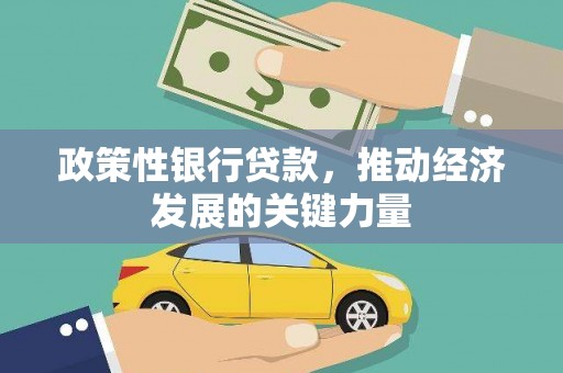 宛城政策性银行贷款，推动经济发展的关键力量