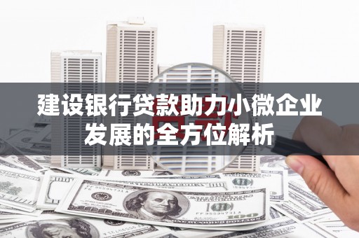 宛城建设银行贷款助力小微企业发展的全方位解析