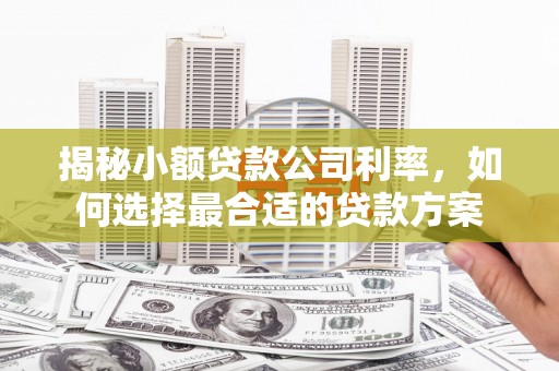 宛城揭秘小额贷款公司利率，如何选择最合适的贷款方案