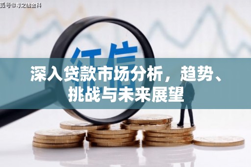 宛城深入贷款市场分析，趋势、挑战与未来展望