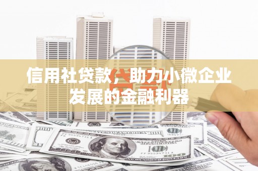 宛城信用社贷款，助力小微企业发展的金融利器