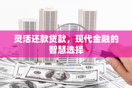 宛城灵活还款贷款，现代金融的智慧选择
