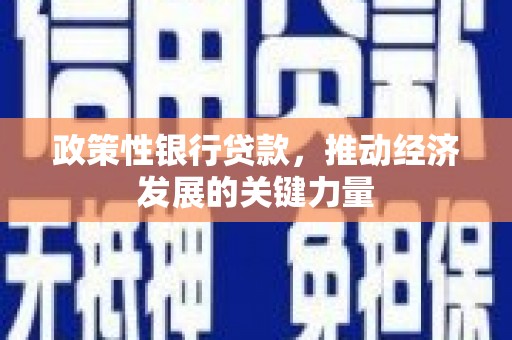 宛城政策性银行贷款，推动经济发展的关键力量