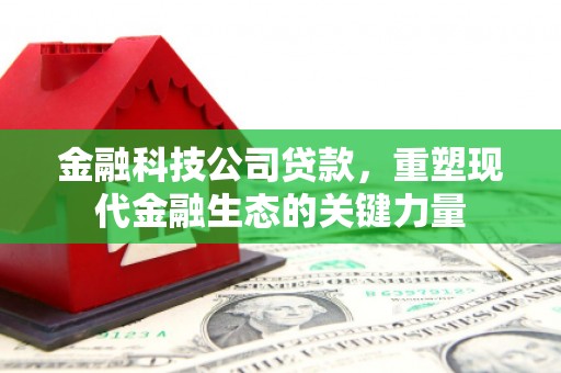宛城金融科技公司贷款，重塑现代金融生态的关键力量