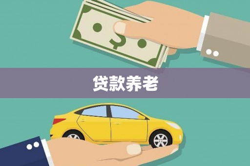 宛城贷款养老