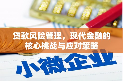宛城贷款风险管理，现代金融的核心挑战与应对策略