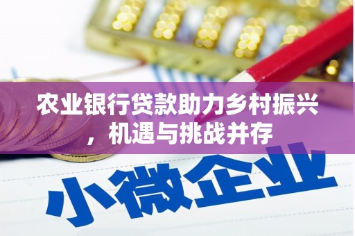 宛城农业银行贷款助力乡村振兴，机遇与挑战并存