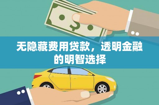 宛城无隐藏费用贷款，透明金融的明智选择