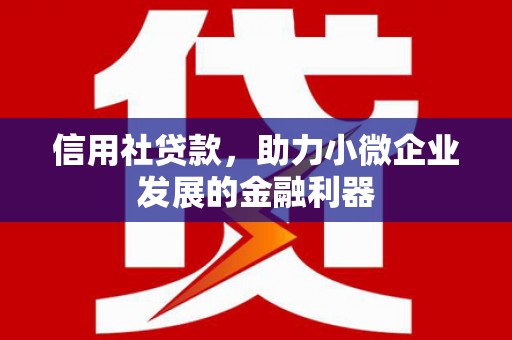 宛城信用社贷款，助力小微企业发展的金融利器