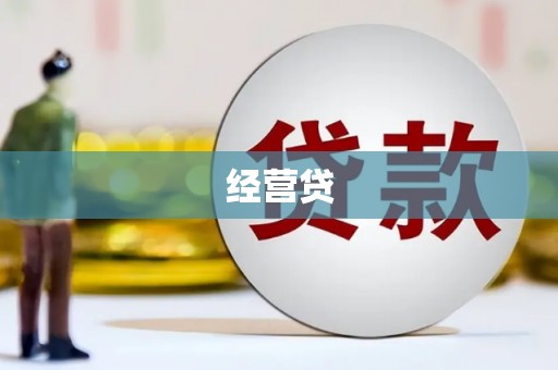宛城经营贷