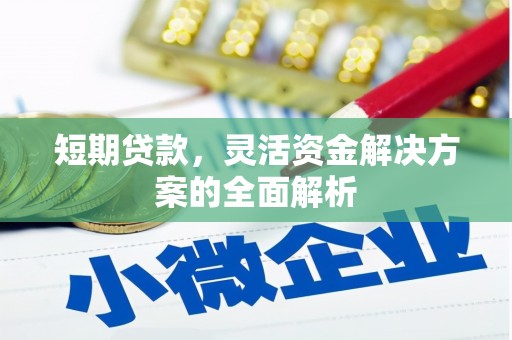宛城短期贷款，灵活资金解决方案的全面解析
