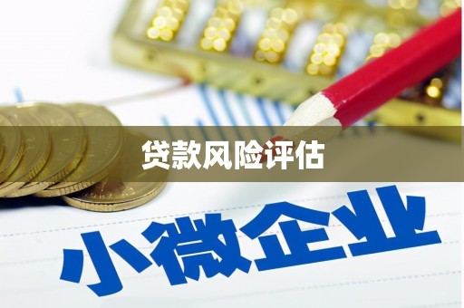 宛城贷款风险评估