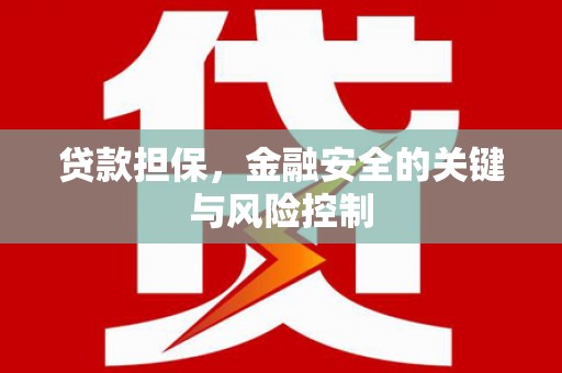 宛城贷款担保，金融安全的关键与风险控制