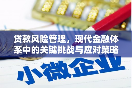 宛城贷款风险管理，现代金融体系中的关键挑战与应对策略
