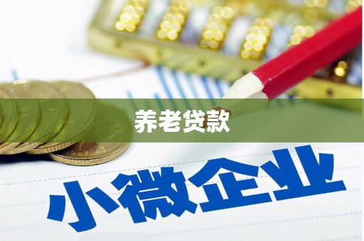 宛城养老贷款