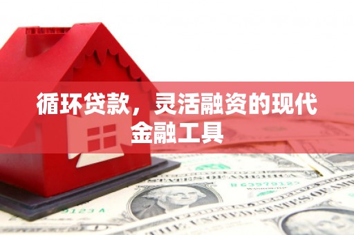 宛城循环贷款，灵活融资的现代金融工具