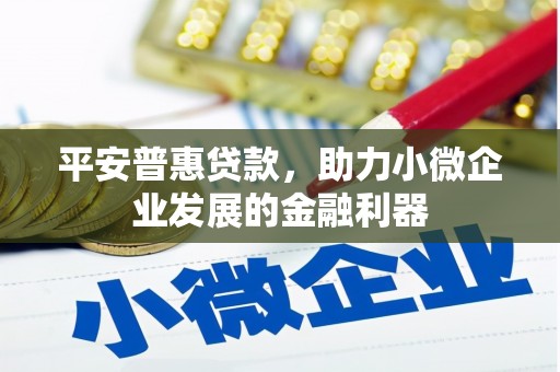 宛城平安普惠贷款，助力小微企业发展的金融利器