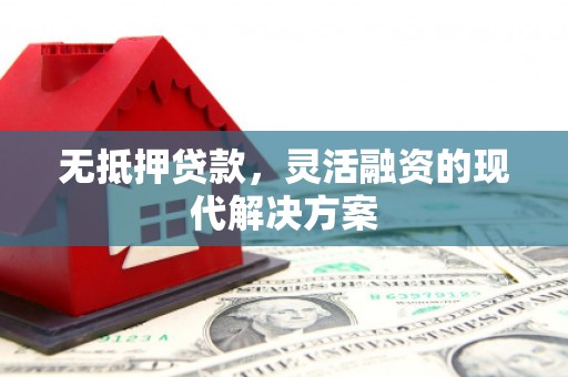 宛城无抵押贷款，灵活融资的现代解决方案