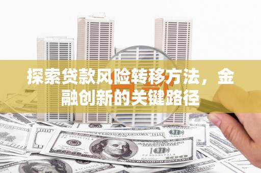 宛城探索贷款风险转移方法，金融创新的关键路径