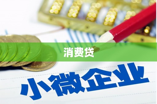 宛城消费贷