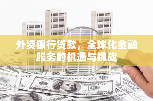 宛城外资银行贷款，全球化金融服务的机遇与挑战