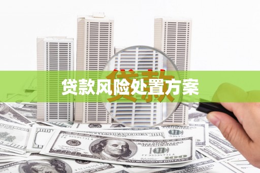 宛城贷款风险处置方案