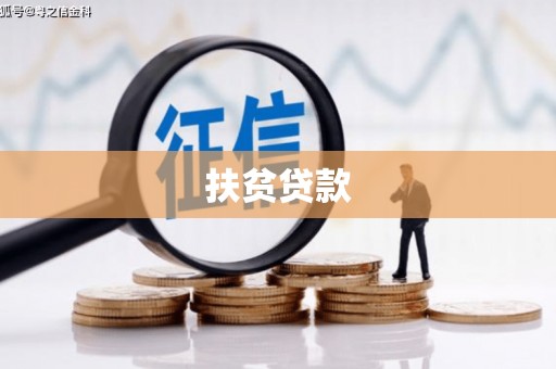 宛城扶贫贷款
