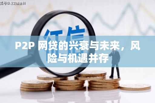 宛城P2P 网贷的兴衰与未来，风险与机遇并存