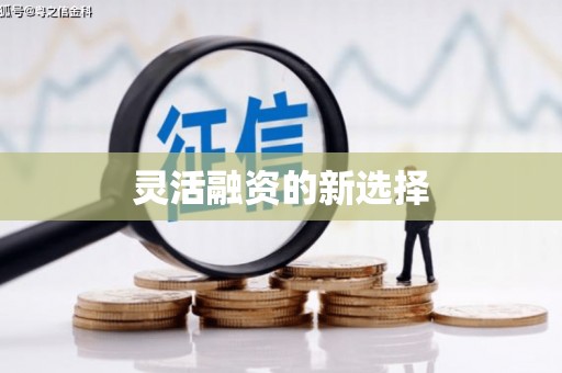 宛城灵活融资的新选择