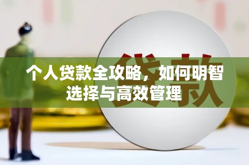 宛城个人贷款全攻略，如何明智选择与高效管理
