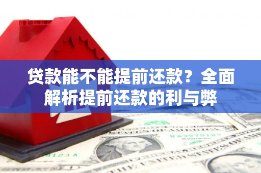 宛城贷款能不能提前还款？全面解析提前还款的利与弊
